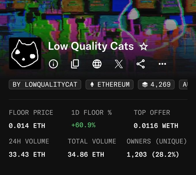A screenshot of the "Low Quality Cats" NFT collection page showing key metrics: a floor price of 0.014 ETH, up 60.9% in 24 hours, with 4,269 items, 1,203 unique owners (28.2%), and 33.43 ETH in 24-hour volume—visually supporting the post's claim of rapid early growth and surging mindshare just 24 hours post-mint.