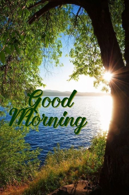 A scenic view of a lake at sunrise seen through trees, with 'Good Morning' written in green cursive text.