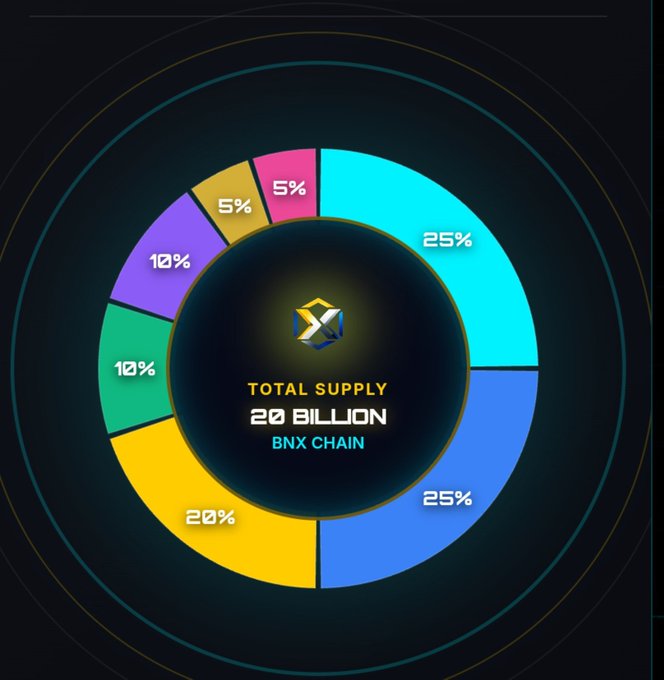 A donut chart displaying the tokenomics distribution for a project on the BNX Chain with a 'TOTAL SUPPLY 20 BILLION', showing allocations of 25%, 25%, 20%, 10%, 10%, 5%, and 5%.