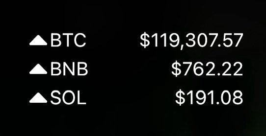 A screenshot showing cryptocurrency prices with upward arrows: BTC at $119,307.57, BNB at $762.22, and SOL at $191.08. The image reinforces the "Good times." caption by displaying three major cryptocurrencies all trading at notable price levels with upward momentum.