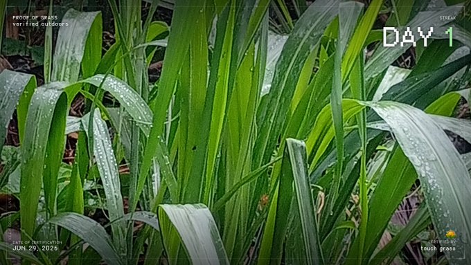 A close-up photograph of dewy green grass blades labeled 'PROOF OF GRASS verified outdoors' and 'DAY 1', with a certification date of 'JUN 29, 2026'.