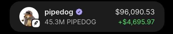 A cryptocurrency wallet display shows the verified account 'pipedog' holding 45.3M PIPEDOG tokens, valued at $96,090.53 with a +$4,695.97 gain.