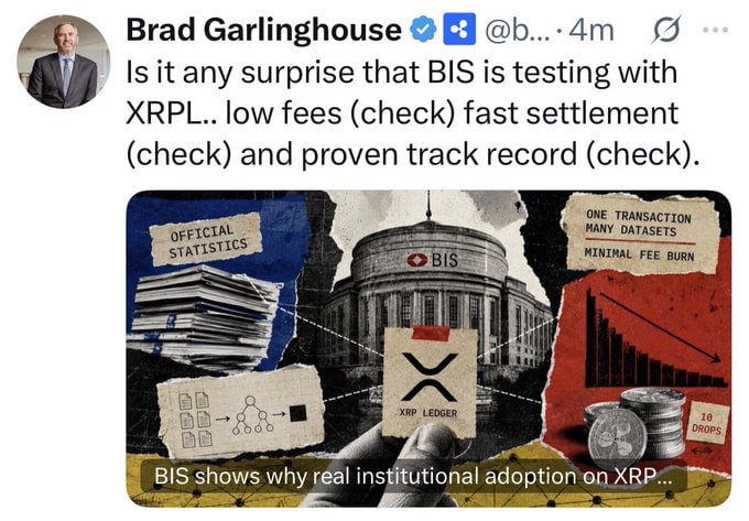A tweet from Brad Garlinghouse (@b...) with a checkmarked blue verification icon reads: "Is it any surprise that BIS is testing with XRPL.. low fees (check) fast settlement (check) and proven track record (check)." The accompanying graphic features a collage with "BIS" labeled on a classical building, an "XRP LEDGER" envelope, and labels for "OFFICIAL STATISTICS," "ONE TRANSACTION MANY DATASETS," "MINIMAL FEE BURN," and "10 DROPS" next to coins, with the caption "BIS shows why real institutional adoption on XRP..."—visually reinforcing the post's speculation about XRP's divisibility into drops and its potential institutional value through BIS (Bank for International Settlements) testing.
