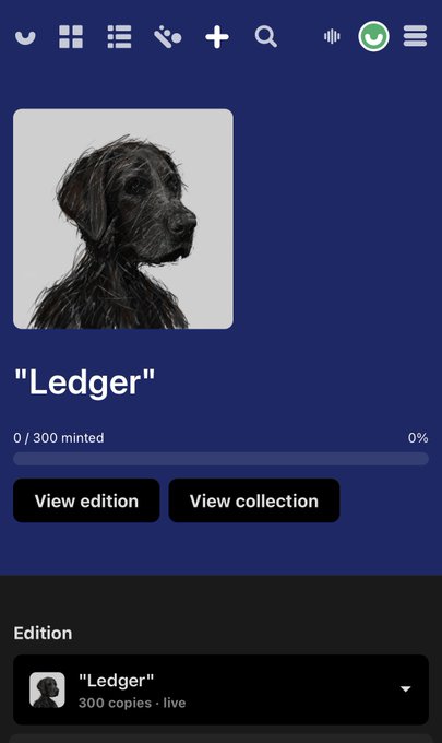 A digital artwork titled "Ledger" displayed on an NFT platform page, featuring a sketch-style portrait of a black dog, with the edition showing 0/300 minted (0%) and 300 copies live. The image visually represents the post's tribute to the XRP community, presenting the piece as a symbolic gift for dedicated members of the Ledger/XRP community.