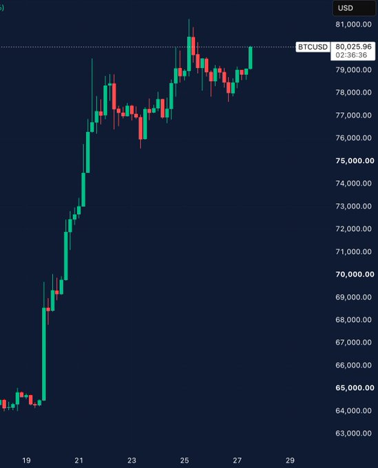 A BTCUSD candlestick chart showing Bitcoin price at 80,025.96 with a strong upward trend from around $63,000 to $80,000 over a multi-day period.
