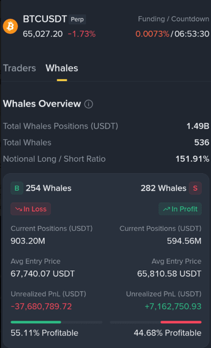 A BTCUSDT Perpetual trading dashboard showing BTC at 65,027.20 (-1.73%) with a Whales Overview displaying total positions of 1.49B USDT and a long/short ratio of 151.91%.