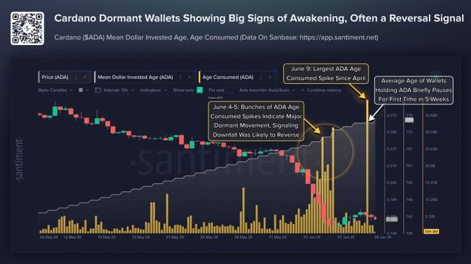 The image features a line graph with a red peak that indicates significant price growth for Cardano DORMANT WALLETS (ADA:DORMANT). The price of these tokens has been rising, with a recent upward trend indicated by this graph. This suggests that investors are showing interest in the Cardano network and that the dormant supply is now becoming active. The post emphasizes that Cardano DORMANT WALLETS are the major focus of Santiment data shown on this graph, indicating that it has attracted significant attention from investors.