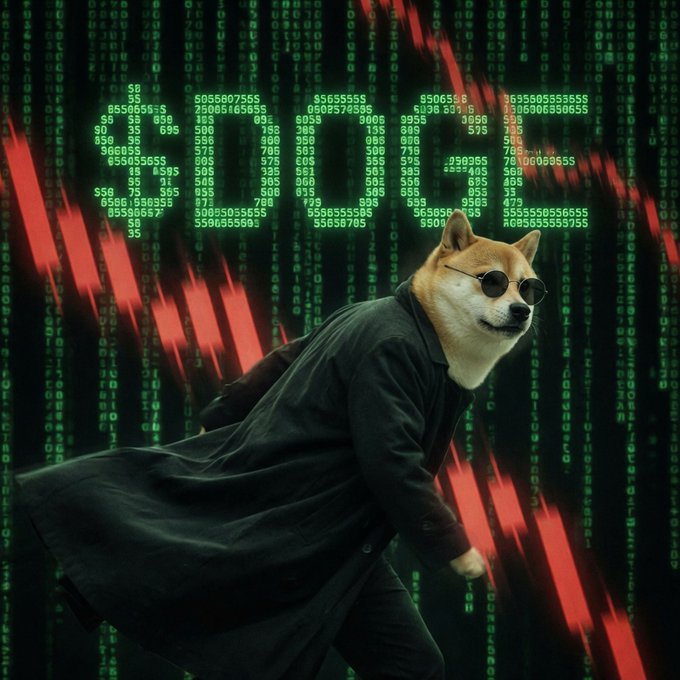 The image features a Shiba Inu dog wearing sunglasses and a black trench coat, striking a "Matrix"-style pose against a backdrop of cascading green digital code and a red downward-trending chart. Notably, "$1" is spelled out in green digital numbers above the dog, with "$0" and "$5$" also visible, visually reinforcing the caption that "$DOGE is trading at $1 in matrix."