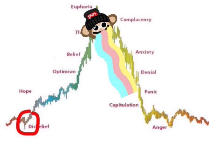 A stock market cycle chart illustrates the stages of investor psychology from "Disbelief" (circled in red) through "Hope," "Optimism," "Belief," "Euphoria," "Complacency," "Anxiety," "Denial," "Panic," "Capitulation," and "Anger."