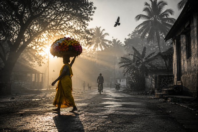 A person in a yellow garment walks down a misty street at sunset, balancing a large basket of colorful flowers on their head, with palm trees and other figures visible in the background.
