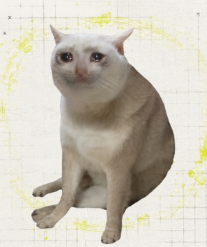 A cream-colored cat with large eyes sits against a yellow gridded background, likely referencing the "$CASHCAT" memecoin mentioned in the post. The image serves as a playful visual tie-in to the trader's massive 6,000x gains on the Robinhood Chain.