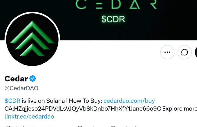 A Twitter profile screenshot for the verified account 'Cedar' (@CedarDAO), announcing that '$CDR is live on Solana' and providing a contract address and purchase link.