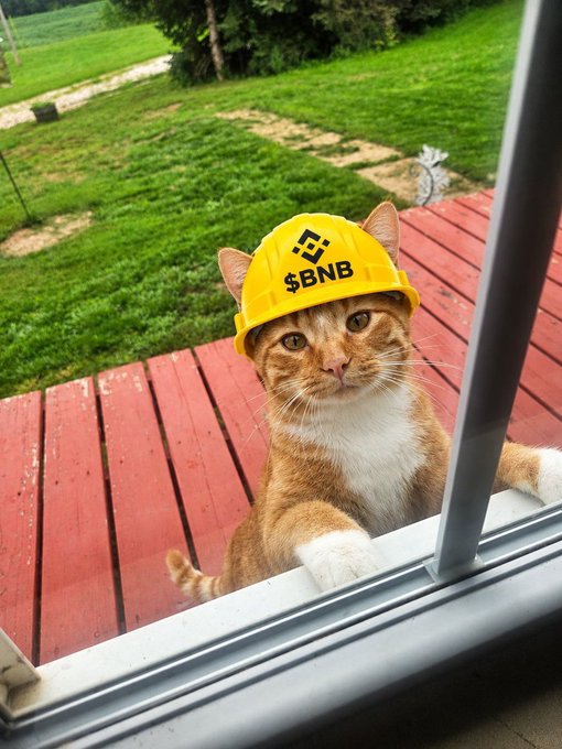 An orange tabby cat wearing a yellow hard hat labeled "$BNB" peeks through a window onto a red wooden deck, perfectly matching the "back to work" theme of the BinanceCat BNB Chain post.