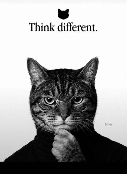 A parody of the iconic 'Think different' Apple advertisement, featuring a black and white image of a cat wearing round glasses and a black turtleneck, posed thoughtfully with its paw under its chin, with 'hmm.' written in the corner.