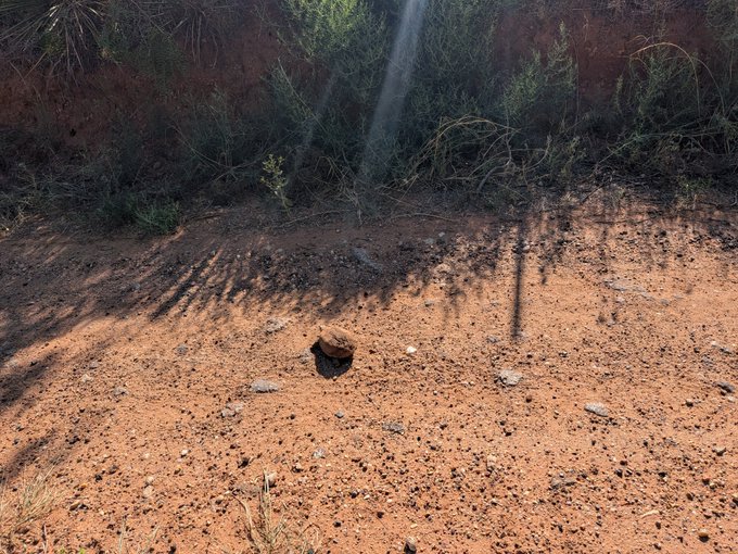 A solitary rock rests on sandy, reddish-orange dirt in an arid landscape, with sparse green vegetation and scrub brush lining the background near a sunlit embankment. Long shadows stretch across the ground, suggesting either early morning or late afternoon light.