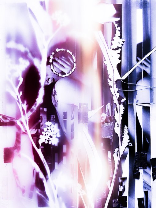 A photo with a dark purple background featuring abstract shapes resembling flowers or leaves arranged throughout the scene. The caption below it reads: "good morningAs I Remember Us" and the image title is displayed at the bottom as well. There are 13 images in total, some of which appear to be from the years between 2013 and 2016.