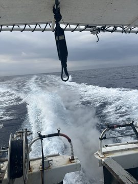 The image shows a boat with two people on board, one of whom appears to be steering the boat using a rope attached to the front. The boat is moving through rough waters, creating white waves that can be seen from the perspective of someone standing on land looking at the boat.
