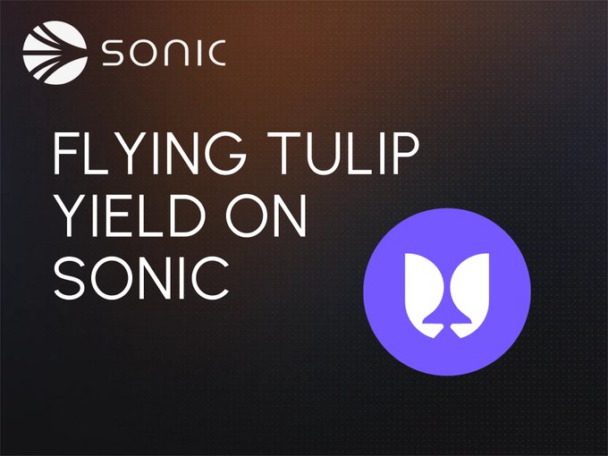 The image features a white-outlined poster with black text that reads "Flying Tulip yield on Sonic". The poster also includes a purple logo depicting two thumbs up signs, symbolizing success or agreement. In the surrounding text, there are various phrases related to yield, such as "Yield on" and "is getting more interesting", indicating a potential increase in interest or value for the tulips being bred using Sonic's method of cross-pollination. The phrases also discuss methods of lending money against Tulip yields, which further emphasizes the connection between the poster and the topic it is discussing: breeding and yielding on Sonic.