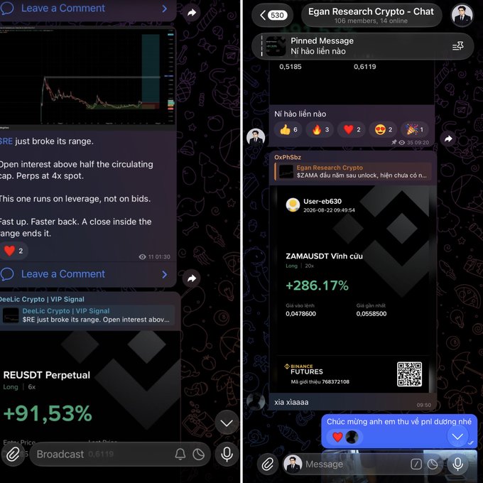 Screenshots of Telegram channels showing crypto trading signals, including 'DeeLic Crypto VIP Signal' and 'Egan Research Crypto', with mentions of $RE and ZAMAUSDT showing significant gains.
