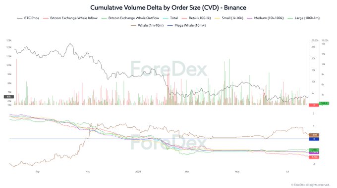This image is a **Cumulative Volume Delta by Order Size (CVD) chart for Binance**, tracking BTC price alongside whale inflow/outflow and categorized retail, small, medium, and large investor activity from September 2024 through mid-2024 (labeled through July). Key visible data points show Whale Outflow at approximately 513 BTC (orange box) while Whale Inflow sits near zero, corroborating the post's claim that whales are withdrawing Bitcoin from exchanges rather than depositing. The chart supports the narrative by showing retail (100-1k) and small (1k-10k) order segments in deep negative territory on the lower CVD panel, suggesting smaller investors are driving selling pressure while whales quietly accumulate off-exchange.