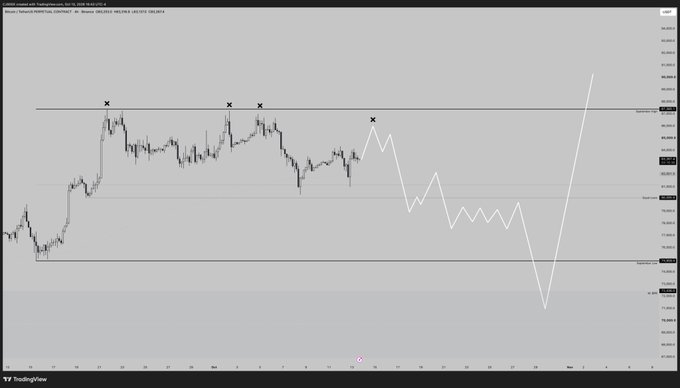 A TradingView price chart of Bitcoin (BTC/USD) shows recent consolidation between roughly 75k-100k, marked with X symbols near equal highs and a swing low, illustrating the pending liquidity zones above and below the current range that align with the analyst's Q4 outlook of bidding dips into 69-75k before a move toward 100k.
