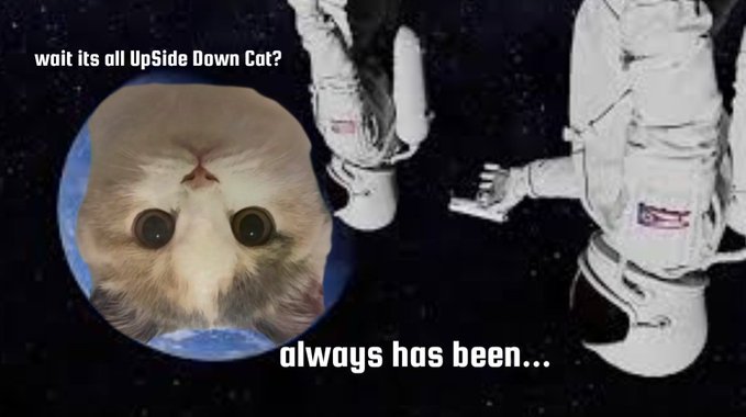 The image features a cat wearing a spacesuit, with two other cats standing behind it. The caption of the image reads "wait its all upside down Down Cat? wait its all upside down Down Cat?". This phrase is meant to be humorous or playful, as it suggests that the person who took the photo might have been pretending to take an upside-down picture of a cat wearing a spacesuit.