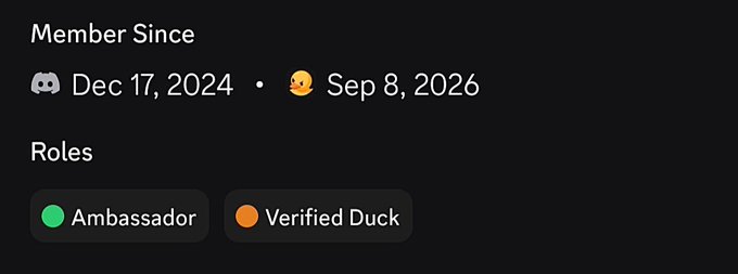 A Discord profile section showing 'Member Since' dates 'Dec 17, 2024' and 'Sep 8, 2026', with roles 'Ambassador' (green) and 'Verified Duck' (orange).