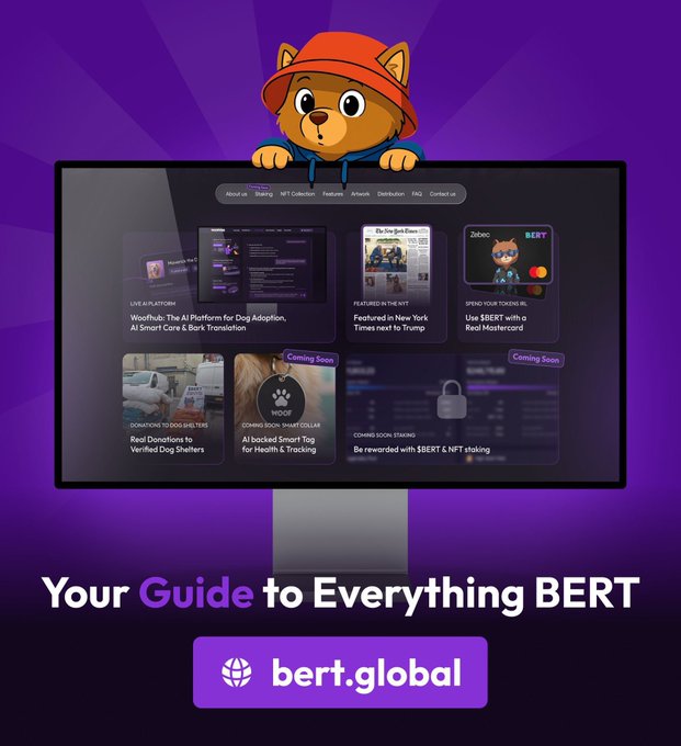 The image features a computer monitor displaying a website called "BERT.Global", which appears to be related to dogs or pet care, as indicated by the text "your guide to everything BERT" at the bottom of the screen. The background color is purple with white rays coming from the top left corner and a cat wearing an orange hat in the center of the monitor.