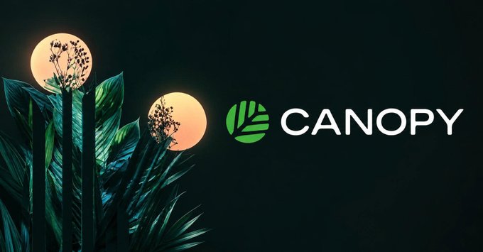 The image features two palm trees with green leaves, one of which has a white logo for "Canopy" written below it. The background is black, making the white text stand out prominently. The caption reads, "Web3 talks a lot about ownership. Yet most projects build on infrastructure they don' t control. They own the brand. They own the community. They own the product. But not the layer everything depends on. That's a strange contradiction."
