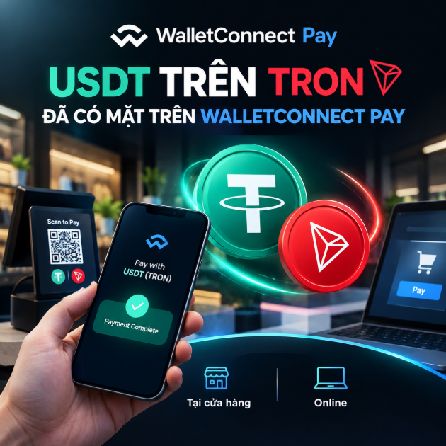 A WalletConnect Pay advertisement in Vietnamese promotes 'USDT TRÊN TRON' (USDT on TRON), showing a hand holding a phone with a 'Payment Complete' screen alongside icons for in-store and online payments.