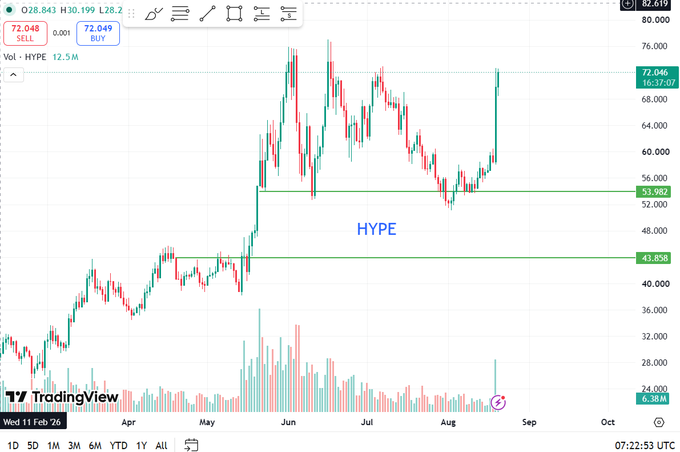 A TradingView candlestick chart for HYPE token on a 1D timeframe showing price movement from February through August, with the label 'HYPE' and horizontal support lines at 53.982 and 43.858.