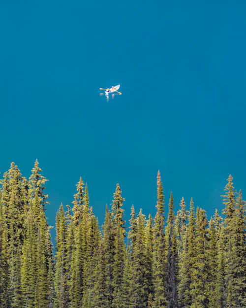 The image features a boat floating above a forest of tall trees with green leaves against a blue sky. The boat appears to be white and has two people on board. The photo is captioned, "✧ Sky Boat ✧ by @intrepid_p SOLD↴ to gpebbles for 1.44 ETH ($3,041.95) $RARE".