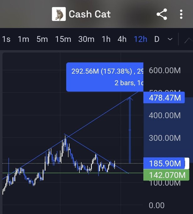 A mobile trading chart screenshot for a token called 'Cash Cat' displays a 12-hour candlestick graph with a projected price target of '600.00M' and a current value of '185.90M'.