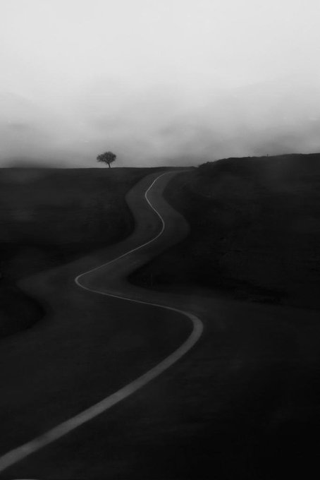 Black and white photograph of a winding paved road curving through rolling hills toward a solitary tree in foggy distance.
