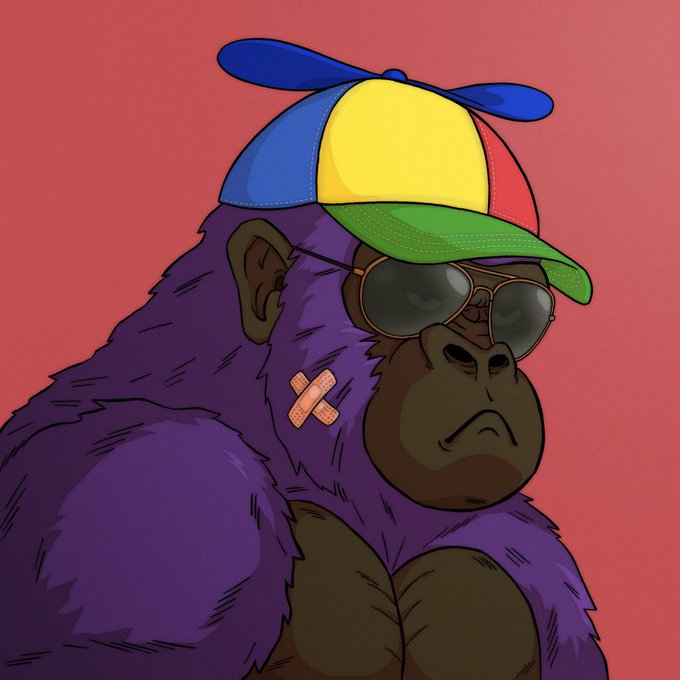 A digital illustration of a purple gorilla wearing a colorful propeller hat (blue, yellow, red, green), sunglasses, and a bandage on its cheek against a red background.