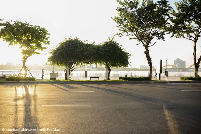 The image shows a street scene featuring two trees next to each other with people walking around them, possibly enjoying the beautiful day or going about their daily routines. The sun shines brightly over the area, casting shadows that add depth and dimension to the scene. In addition to the people and trees, there are also benches in the vicinity where individuals can sit and relax.