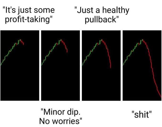 A four-panel meme showing a stock chart progressively crashing, with labels escalating from 'It's just some profit-taking' to 'shit'.
