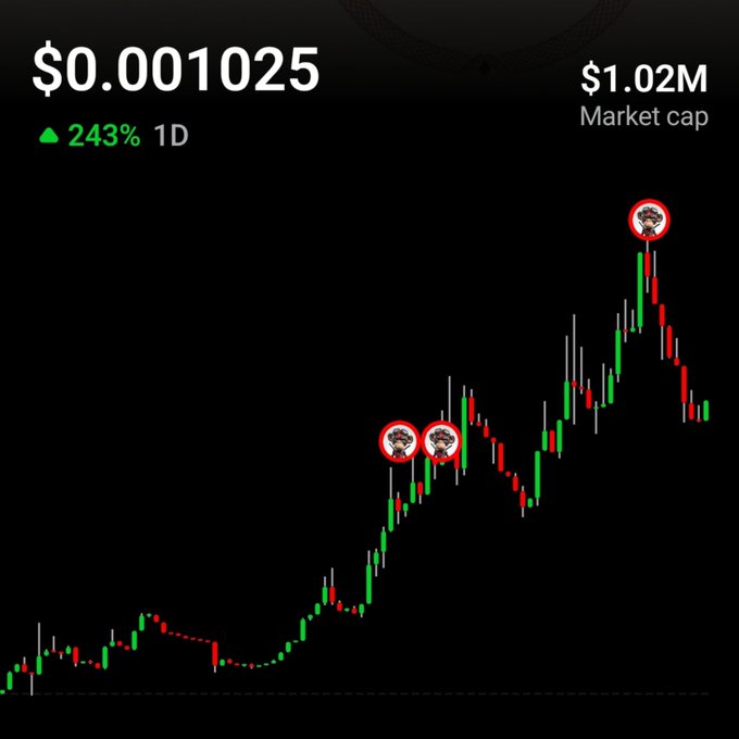 A cryptocurrency price chart displays a value of $0.001025 with a 243% increase in 1D and a market cap of $1.02M, showing green and red price movements with several bobblehead markers at price peaks.