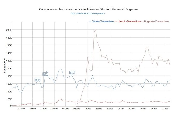 A line chart titled 'Comparaison des transactions effectuées en Bitcoin, Litecoin et Dogecoin' comparing transactions of the three cryptocurrencies from November to February, with Dogecoin transactions showing a massive spike in late December.