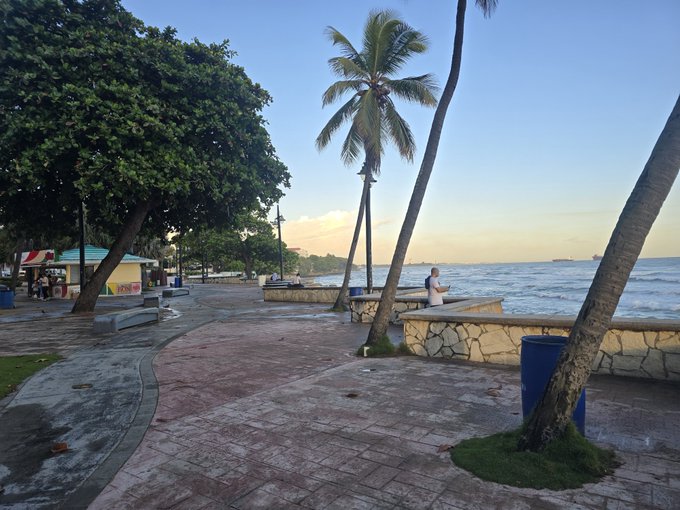 A coastal walkway lined with palm trees and a stone wall, with a person standing near the ocean at sunset.