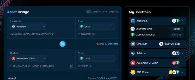 A cryptocurrency 'Asset Bridge' interface powered by Wanchain, showing a USDT transfer from Wanchain to Avalanche C-Chain, with a portfolio panel listing Wanchain, Ethereum, Arbitrum, Avalanche C-Chain, and BNB Chain balances.