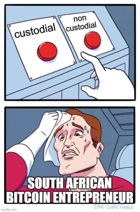 A two-panel meme showing a hand choosing between 'custodial' and 'non custodial' buttons, with the bottom panel showing a sweating, nervous man labeled 'SOUTH AFRICAN BITCOIN ENTREPRENEUR'.