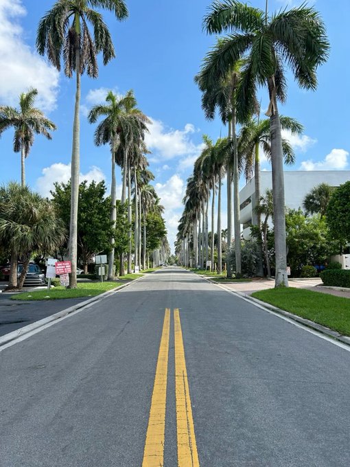 The image shows a street lined with palm trees, featuring yellow double lines painted on the road. The sky above appears blue with some clouds scattered throughout. In the background, there are buildings visible along the street. A red sign can be seen near one of the buildings, and a car is parked further down the street. The post includes text that reads "Good Afternoon Everyone Still exploring @quipnetwork @useTria @TheARCTERMINAL".