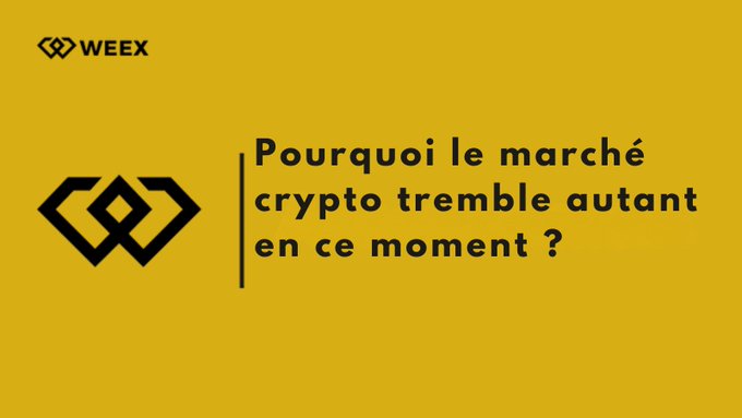 The image shows a yellow background with black text that reads "pourquoi le marché crypto treble autant en ce moment?". The text is written in French, which suggests that this content may be related to cryptocurrency or financial news.