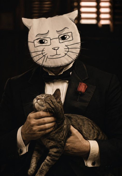 A figure in formal attire, including a tuxedo with a red rose boutonnière, wears a comical hand-drawn cat face mask while tenderly cradling a content tabby cat—visually embodying the idea that CATJAK is also a cat person.