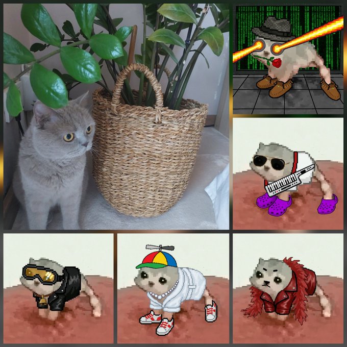 A collage featuring a real gray cat next to a woven basket with a potted plant, alongside five AI-generated images depicting the cat in various scenarios with sunglasses, a beanie, a keytar, a propeller hat, and a red feathered jacket.