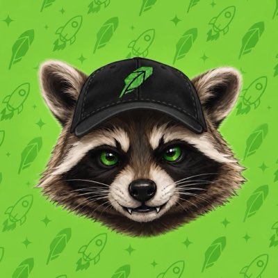 A digital illustration of a raccoon's head wearing a black cap with a rocket logo, set against a green background patterned with rockets and rockets.