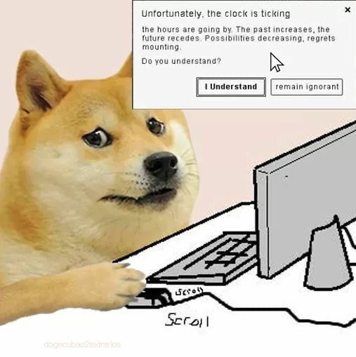 A Shiba Inu dog sits at a computer in this doge meme, with an on-screen pop-up message reading 'Unfortunately, the clock is ticking' about the past increasing and future receding, with buttons to 'I Understand' or 'remain ignorant'.