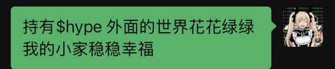 A chat message in Chinese reads "持有 $hype 外面的世界花花绿绿 我的小家稳稳幸福" (translated: "Holding $hype, the outside world is a riot of color; my little home is steadily happy"), accompanied by an anime girl avatar with bunny ears, reflecting the poster's sentiment of finding comfort in the $hype community while the outside world remains chaotic.