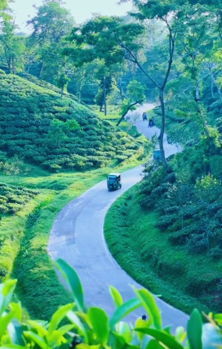 The image shows a winding road surrounded by lush green trees and grassy hills. A car is driving down the road, adding movement to the scene. The photo appears to be taken from an elevated position or angle, providing a unique perspective on the landscape below.